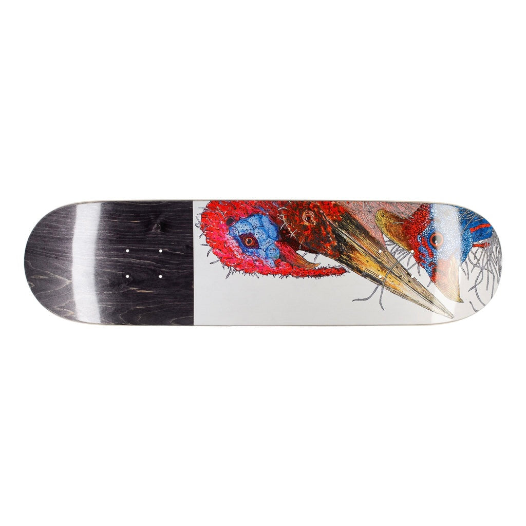 GX1000 Birds Deck 8.125” With Grip Tape (In Store Pickup Only)