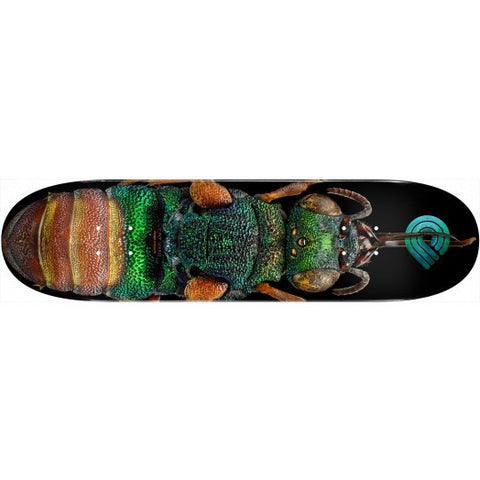 Powell Peralta Biss Ruby Tailed Wasp Deck 8.5” With Grip Tape (In Store Pickup Only)